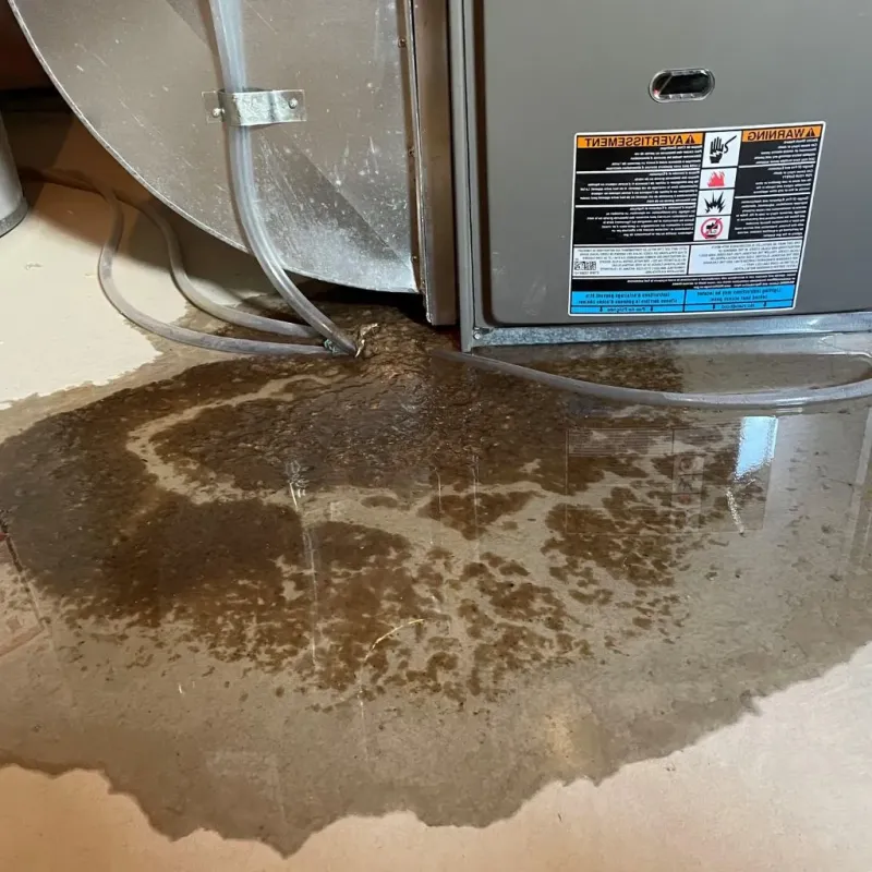 Pipe Burst and Leak Restoration in Poquoson, VA