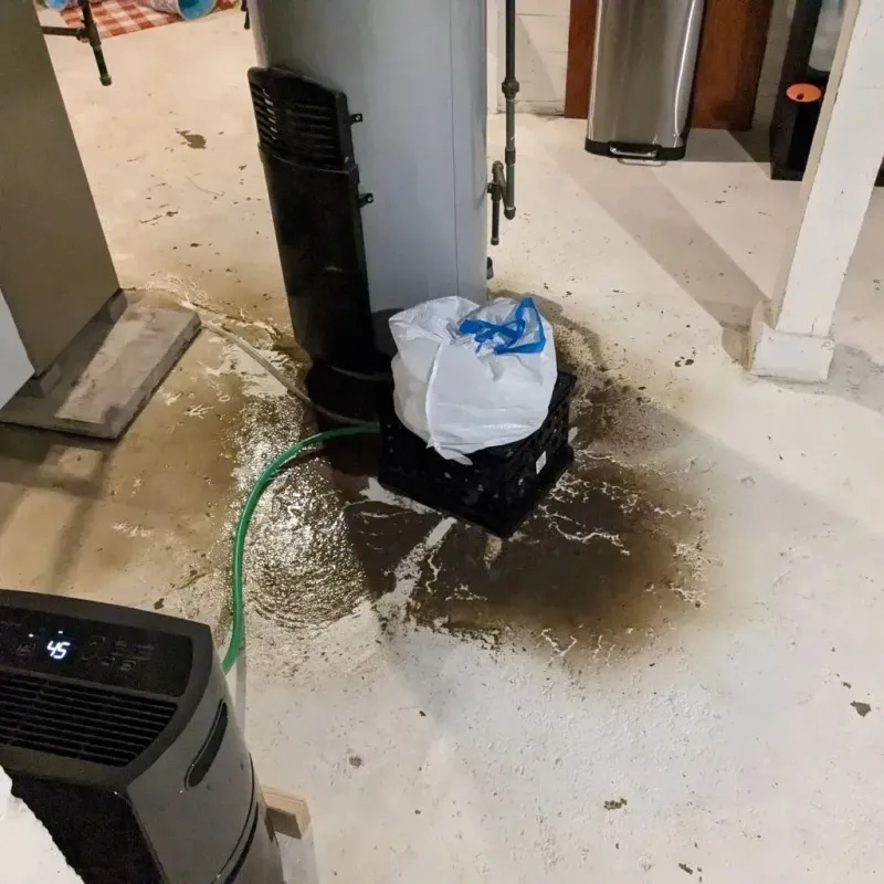 Sewage Backup Cleanup Service in Poquoson, VA